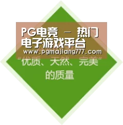 PG电竞 - 热门电子游戏平台