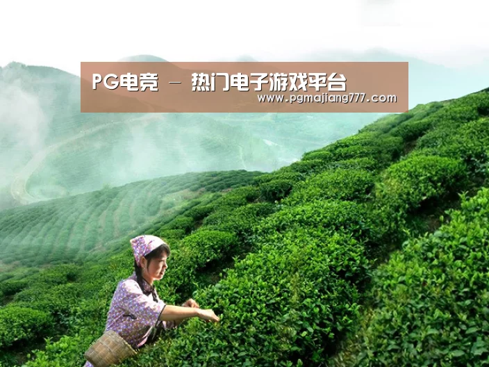 PG电竞 - 热门电子游戏平台