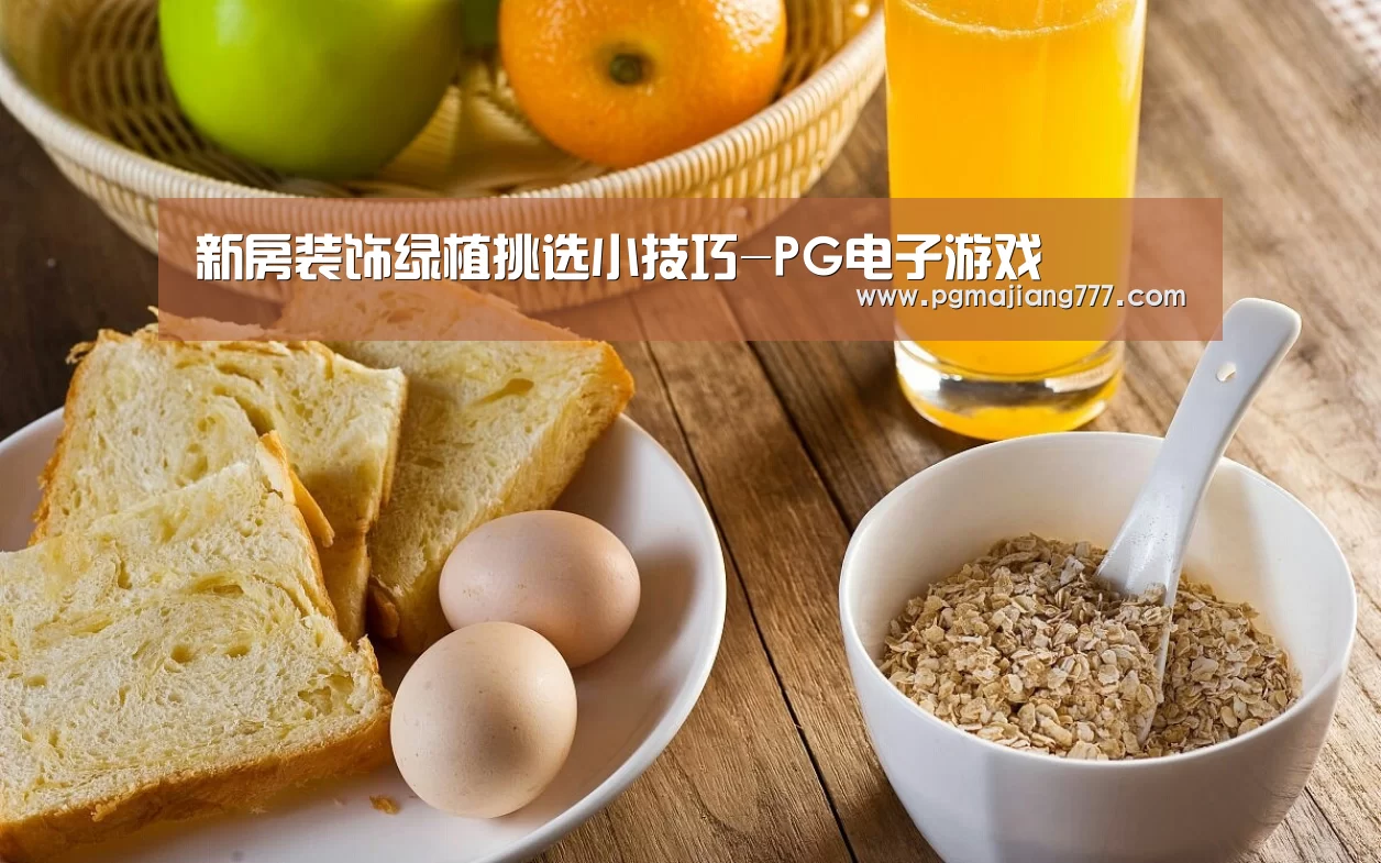 新房装饰绿植挑选小技巧-PG电子游戏