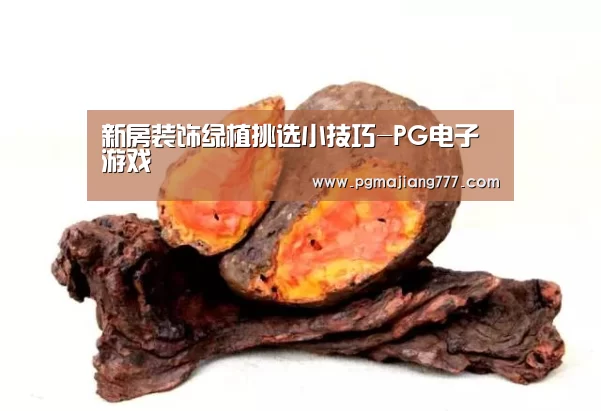 PG麻将官网